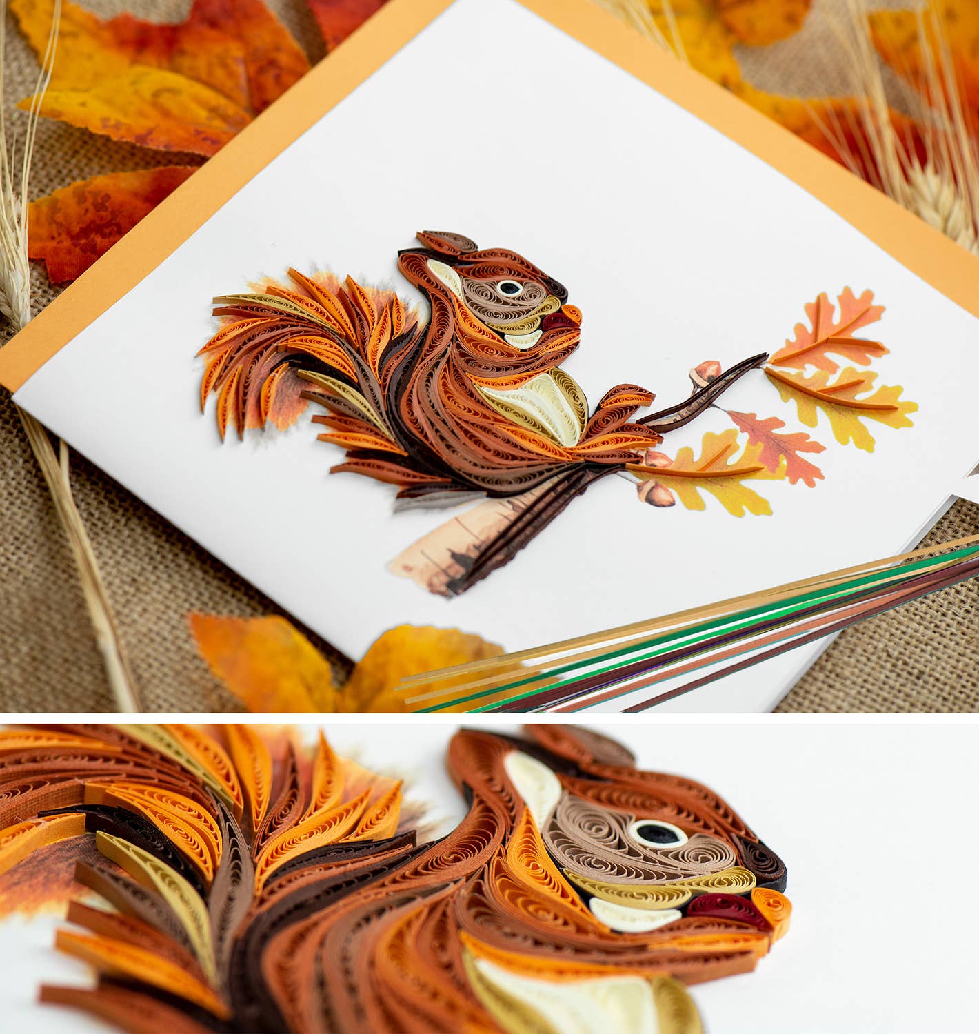 Squirrel