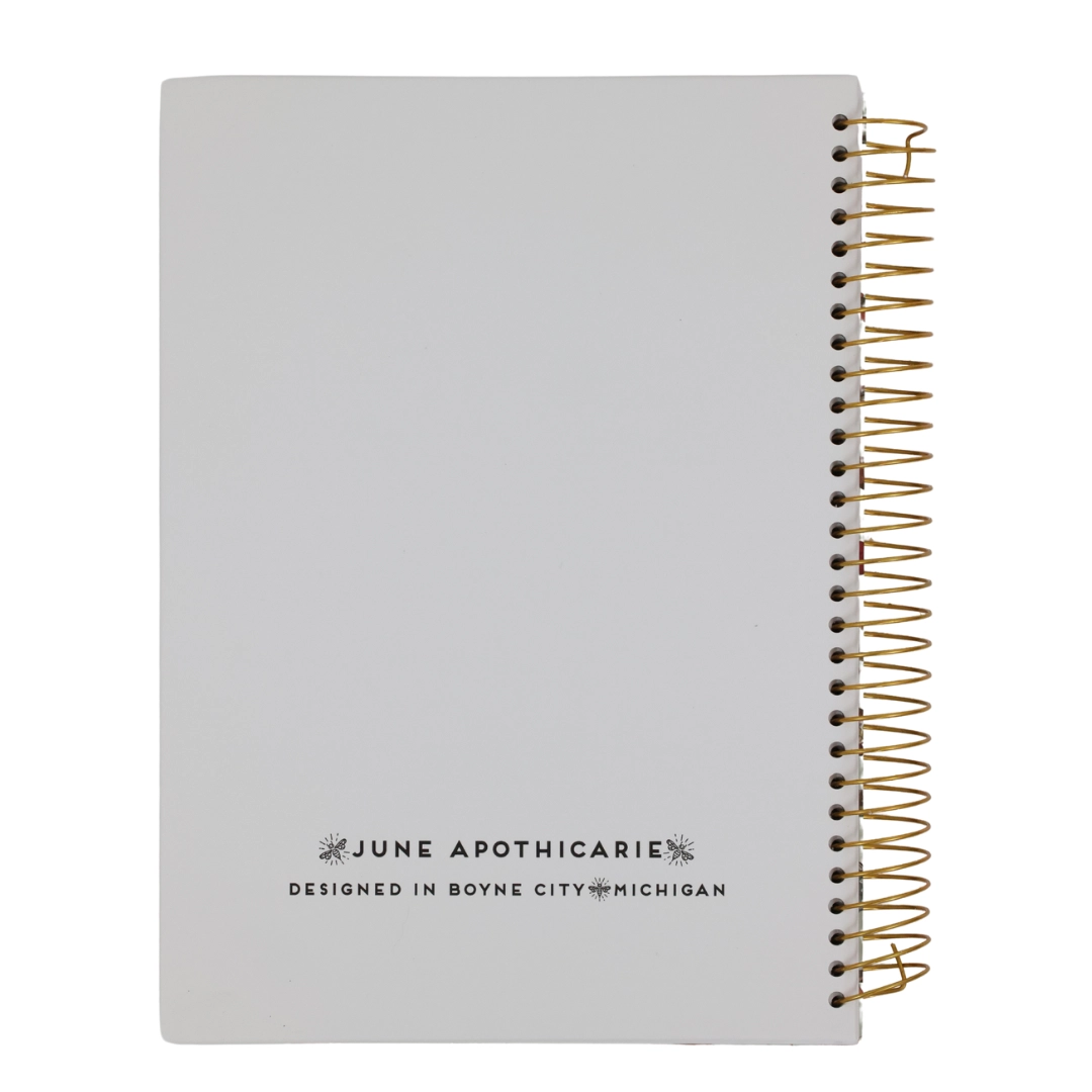 The Northern Lights Spiral Notebook