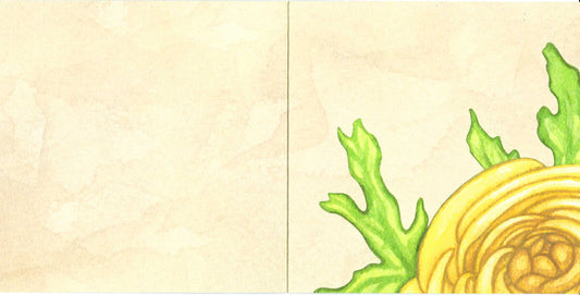 A Pop of Color Greeting Card