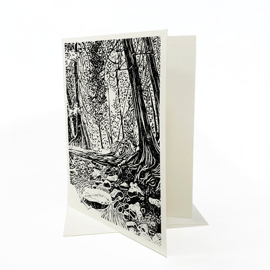 Brown's Brook Blank Greeting Card