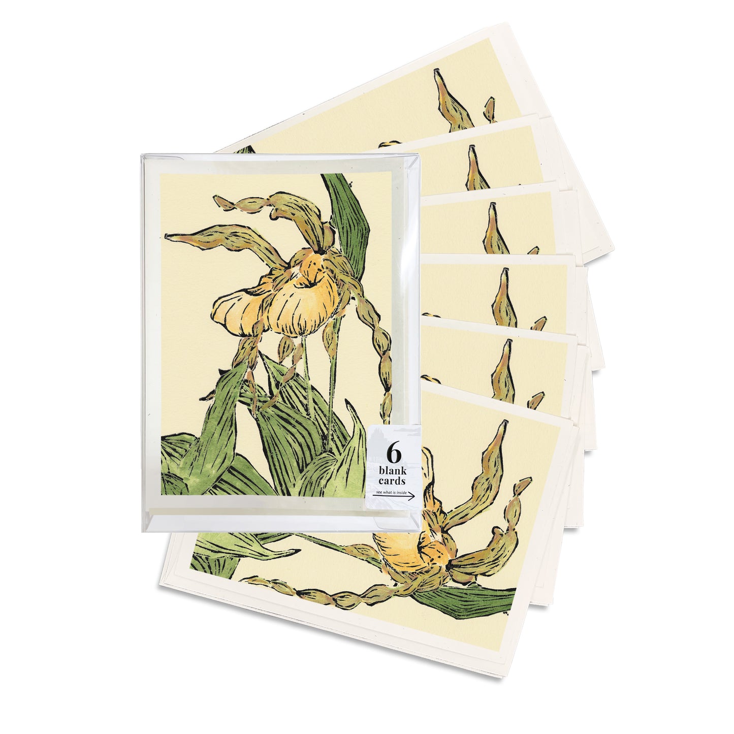 Lady Slipper Pair #2. A boxed set of six casually elegant botanical cards featuring a digital reproduction of a block print design with the same title by Natalia Wohletz of Peninsula Prints, Milford and Mackinac Island, Michigan.