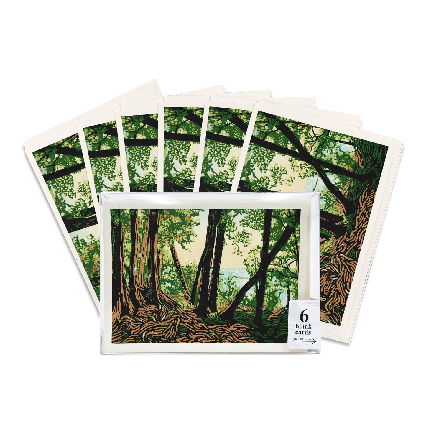 A boxed set of six casually elegant cards featuring Mackinac Island art by Natalia Wohletz of Peninsula Prints titled Trail Lookout.