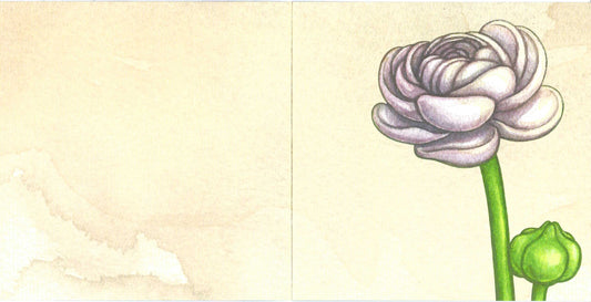 Pretty in White Greeting Card