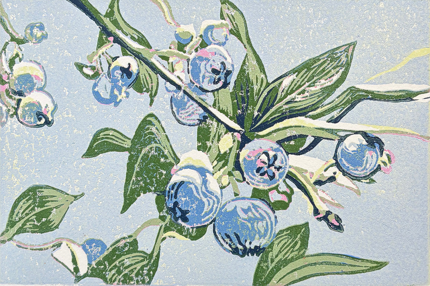 Blueberries Greeting Card