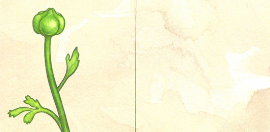 Ready to Bloom Greeting Card