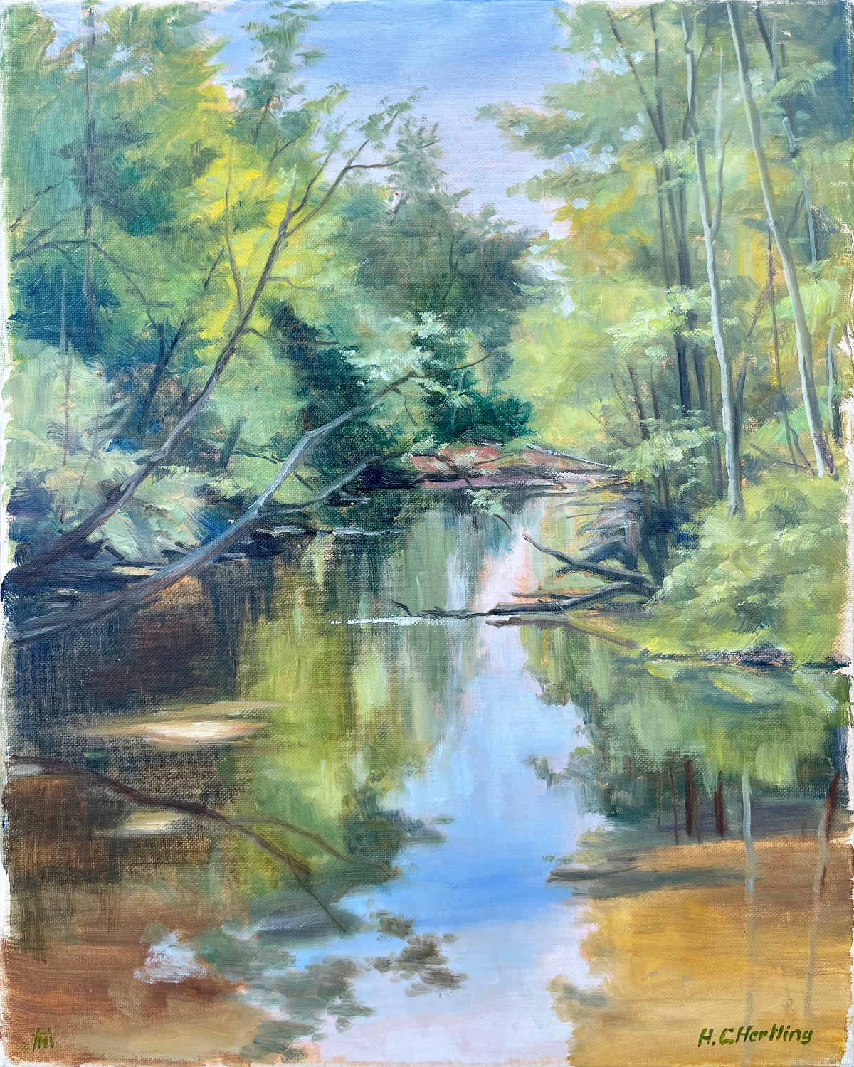 Secluded River - oil