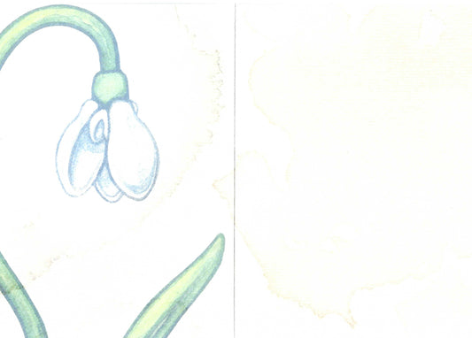 Snow Drop Greeting Card