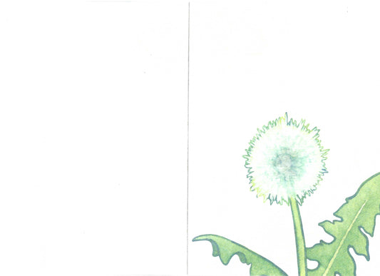Tadpoles Greeting Card