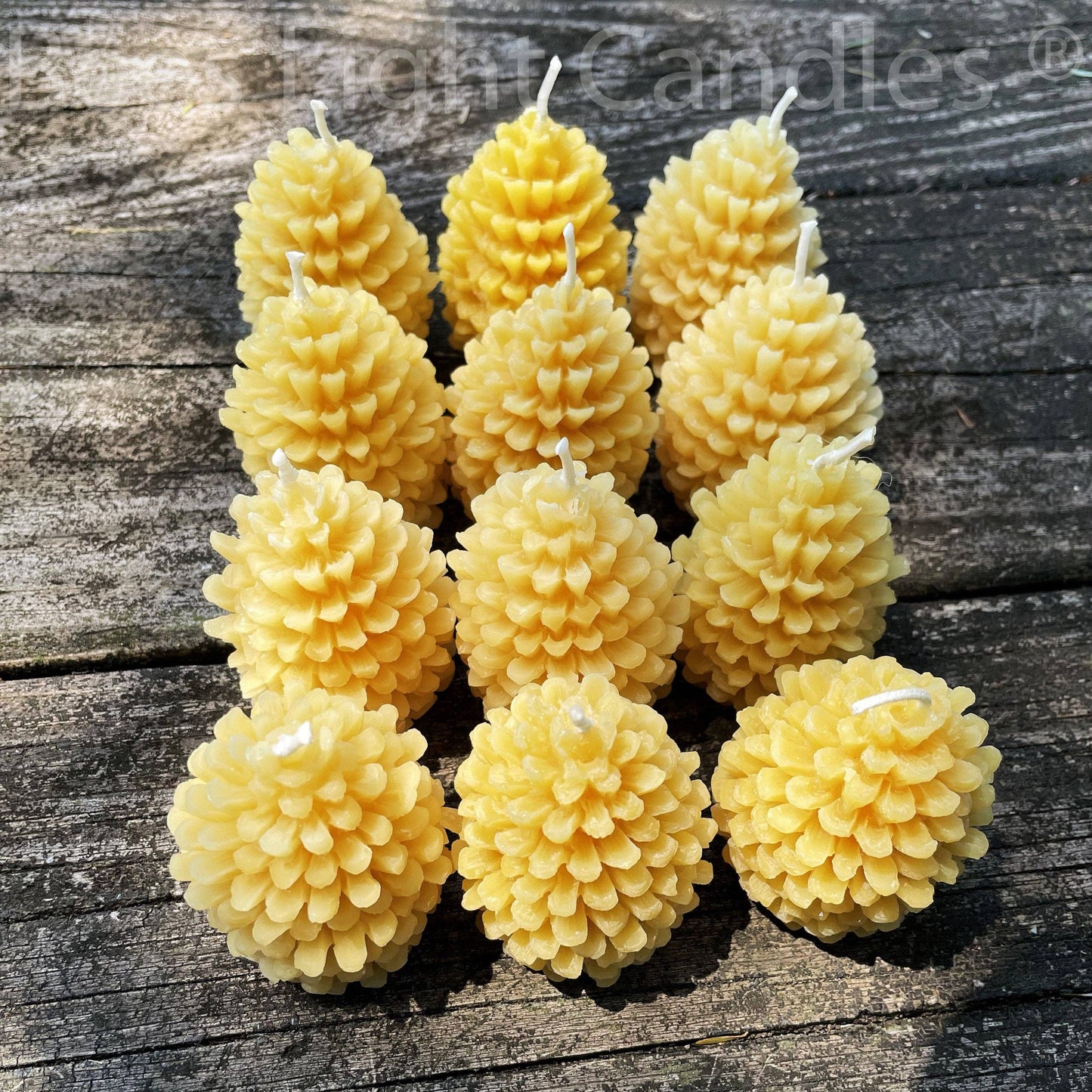 Pinecone Beeswax Candle Pair