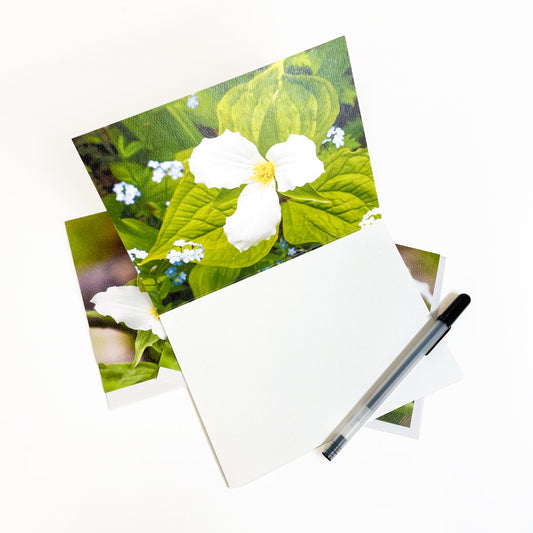 Blank greeting card featuring a photograph of trillium, a Michigan wildflower, by Mackinac Island artist Jennifer Wohletz of Mackinac Memories. Suitable for framing.