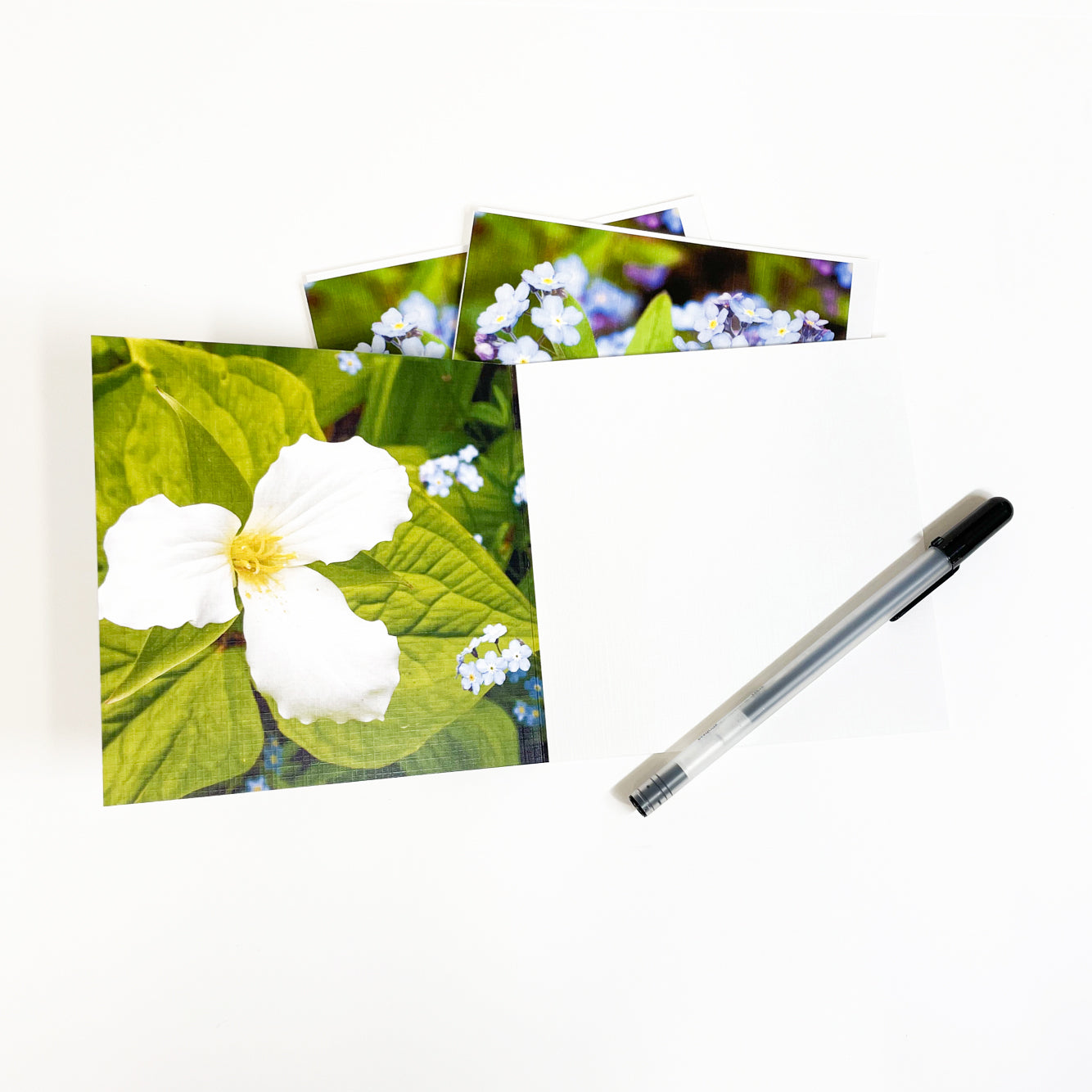 Forget-Me-Nots Greeting Card