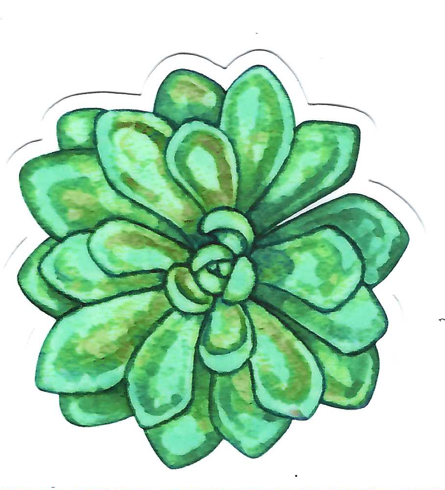 succulent decal Succulent Vinyl Stickers by Jessica Waterstradt – Main Street Art