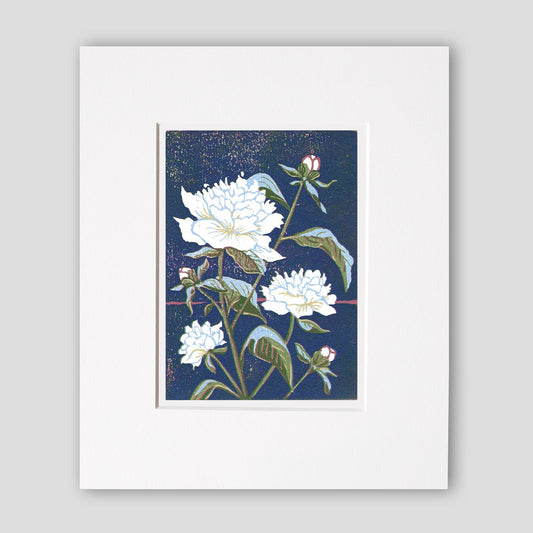 Peony flower art by printmaker Natalia Wohletz of Peninsula Prints, Milford & Mackinac Island, Michigan, titled Peonies.