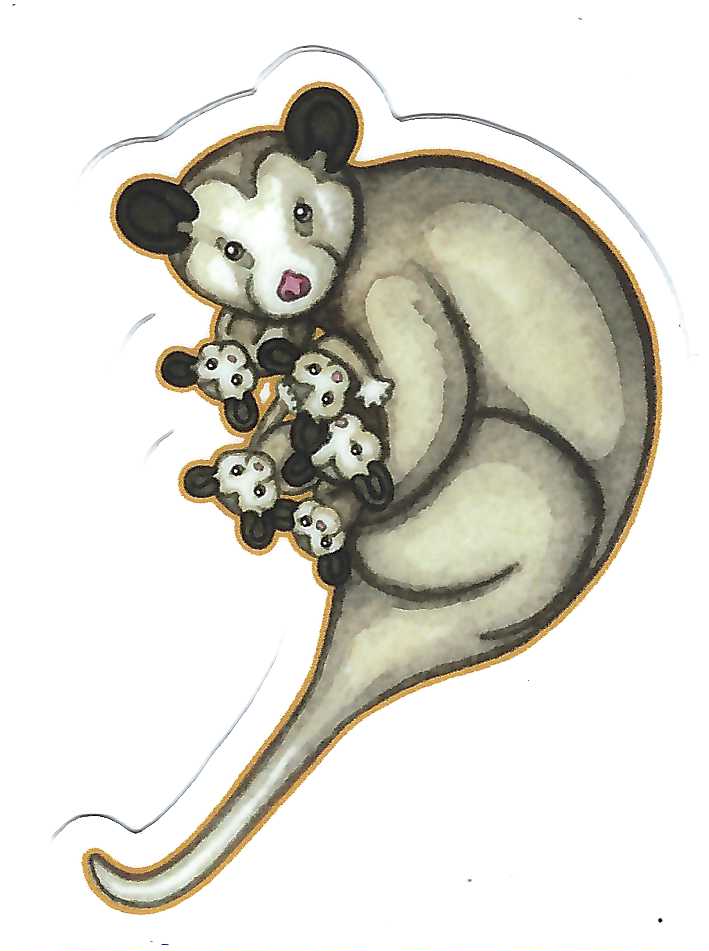 Possums Squirrel Decorative Stickers by Jessica Waterstradt.