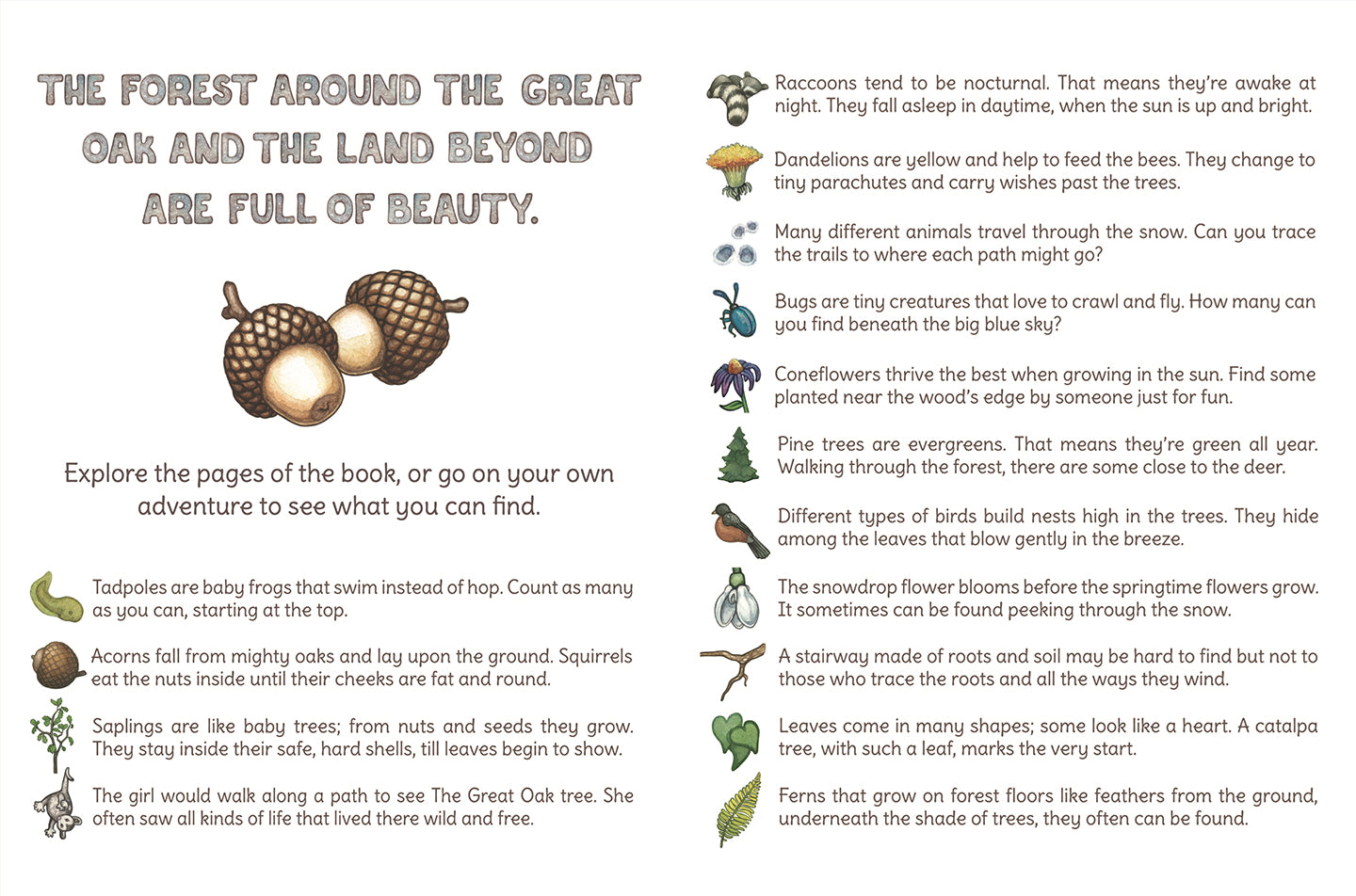 The Acorn & the Oak – children's book