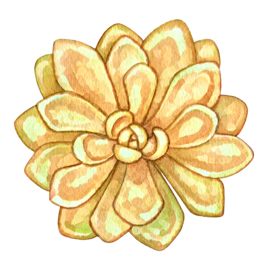 Yellow Succulent Squirrel Decorative Stickers by Jessica Waterstradt.