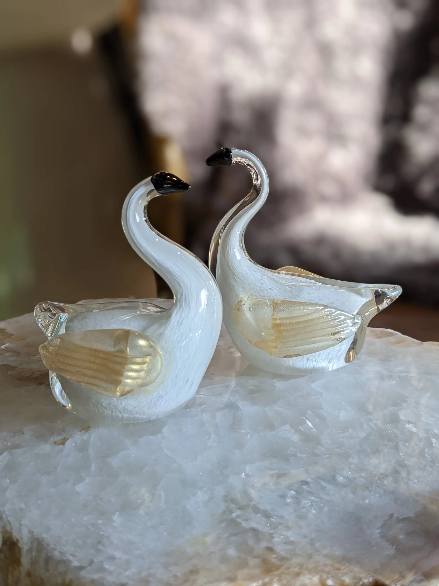 Birds of Beauty - The Enchanted Swan