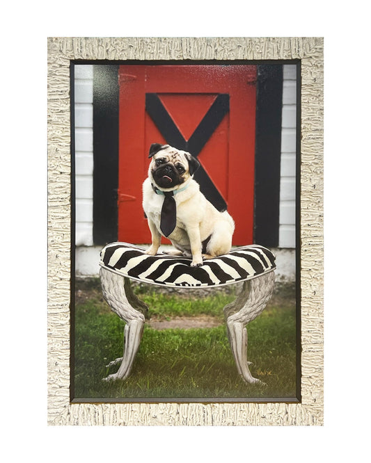 Ins-PAW-ration for Meaningful Art