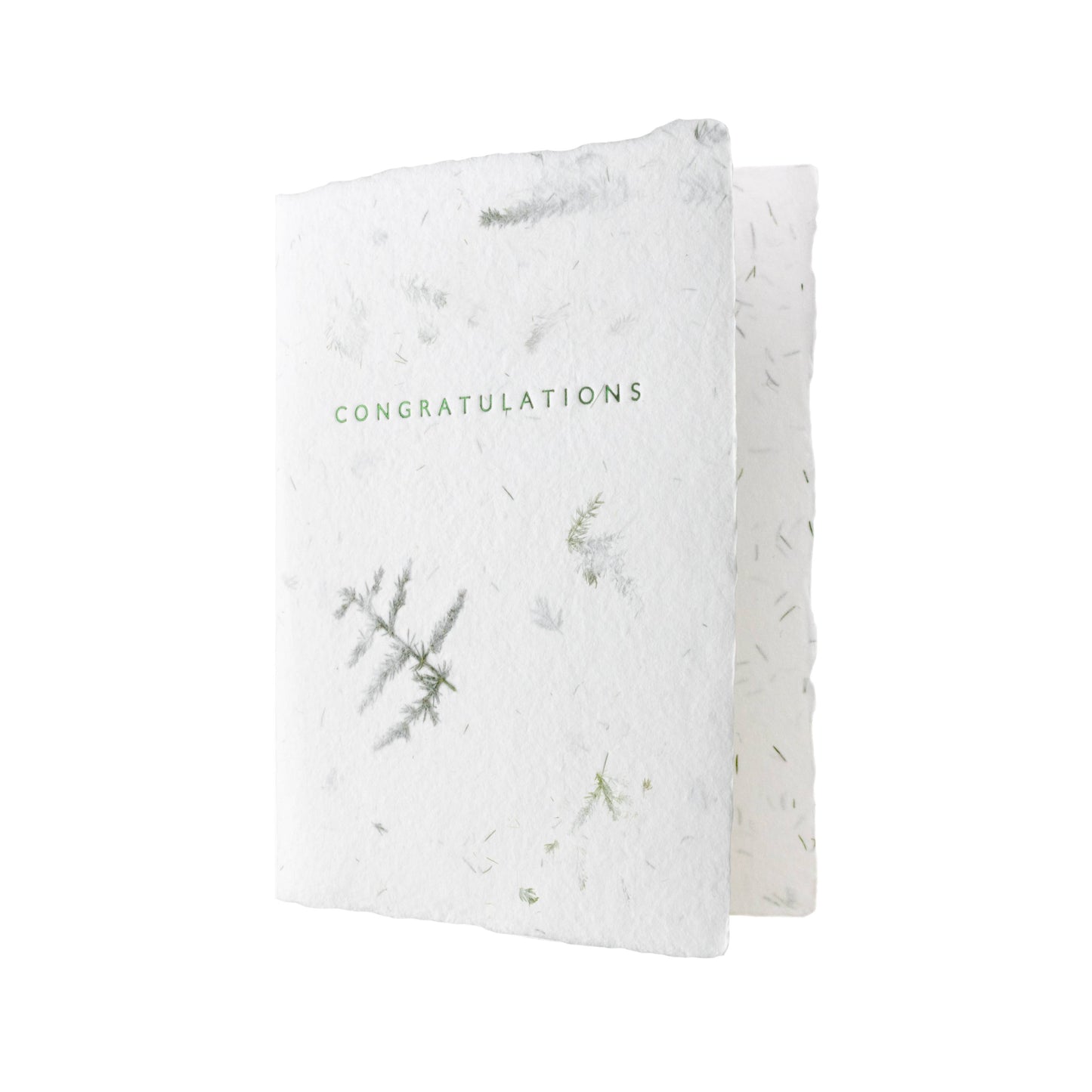 Congratulations Fern Greeting Letterpress Card