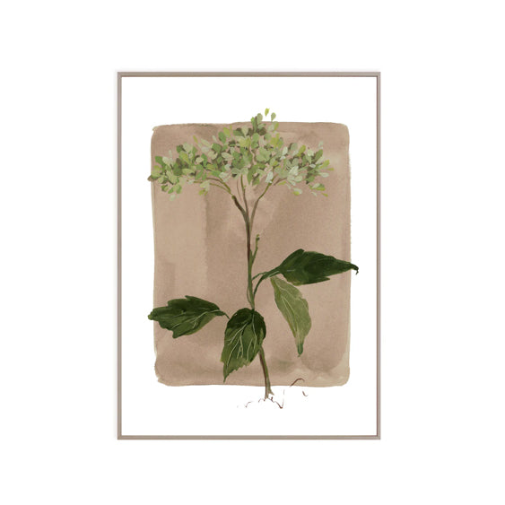 Tiny Botanicals No. 101 Fine Art Print by Kelly Ventura