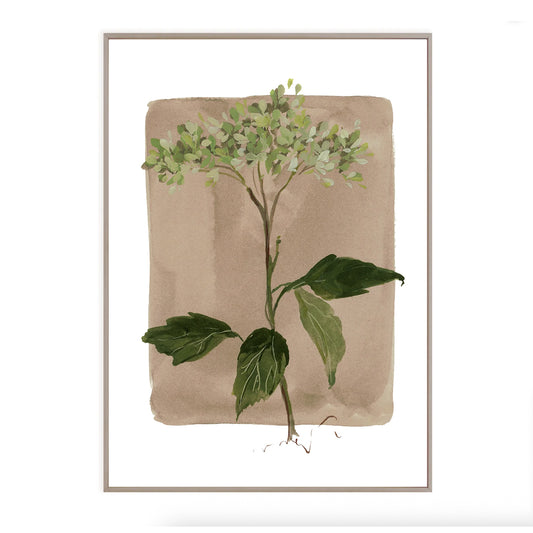 Floral fine art print featuring a reproduction of an original watercolor painting by Michigan artist Kelly Ventura.