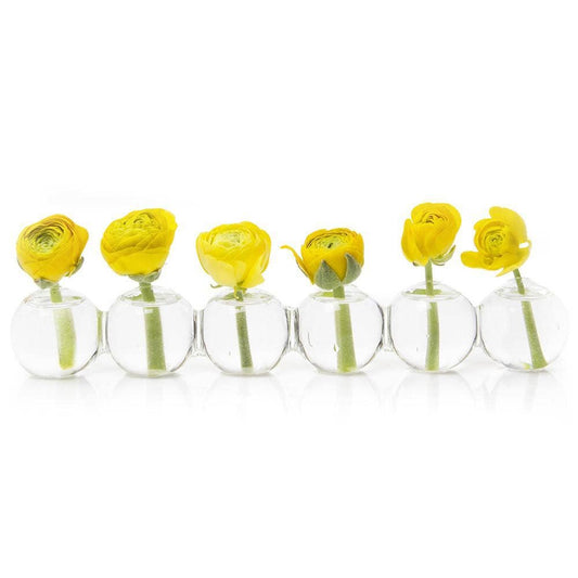 Caterpillar Bud Vase Glass: Large