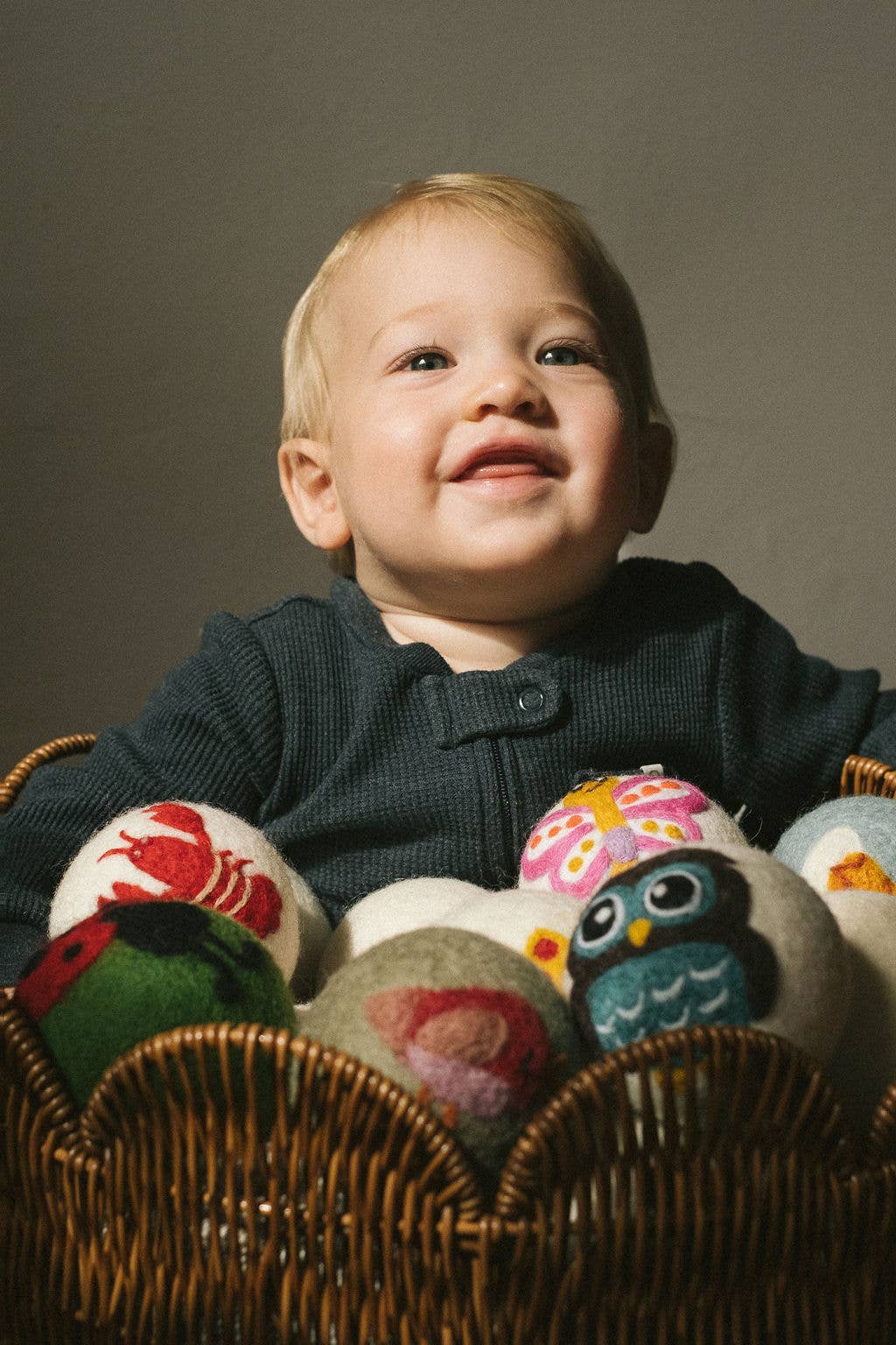 Single – Wool Dryer Balls Over 50 Styles : Holiday Dog