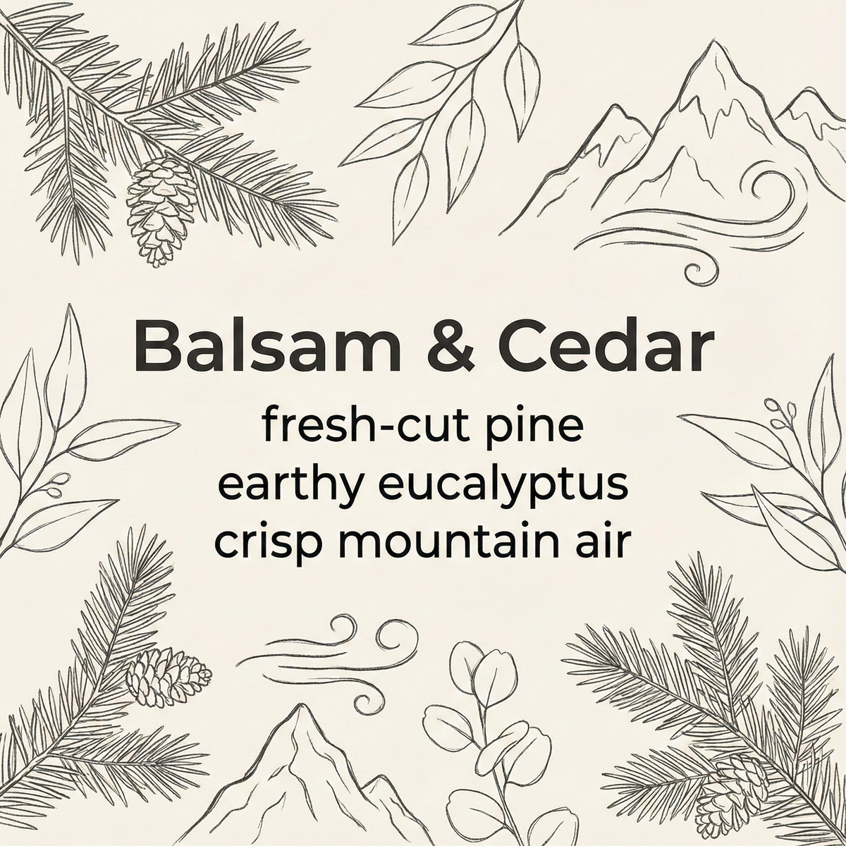 Balsam & Cedar Essential Aroma Oil