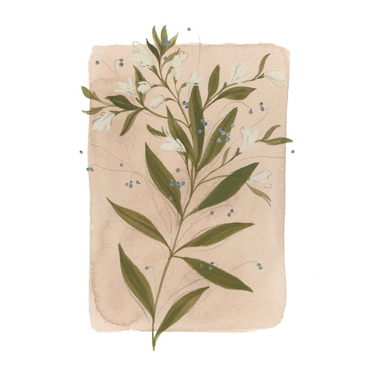 Tiny Botanicals No. 75 Fine Art Print by Kelly Ventura