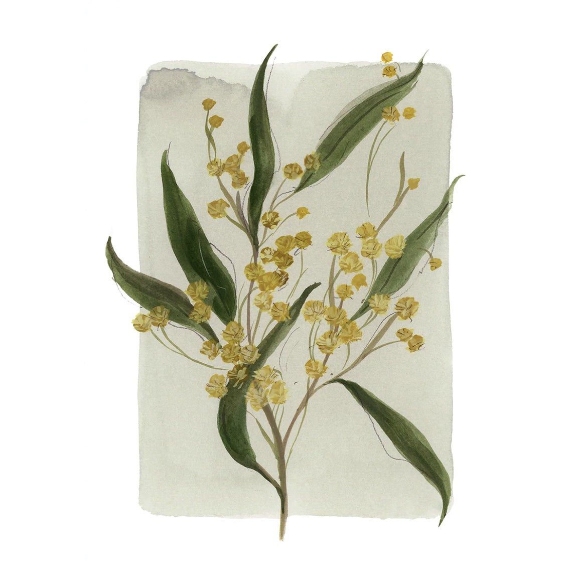 Floral fine art print featuring a reproduction of an original watercolor painting by Michigan artist Kelly Ventura.