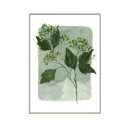 Tiny Botanicals No. 94 Fine Art Print by Kelly Ventura.