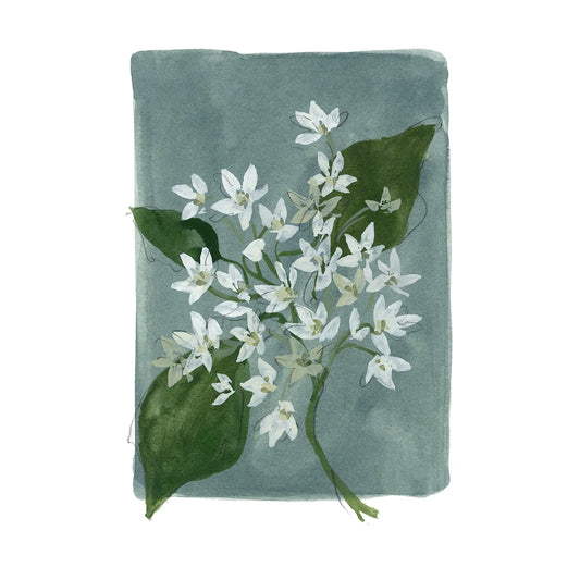 Floral fine art print reproduction of an original watercolor painting by Michigan artist Kelly Ventura.