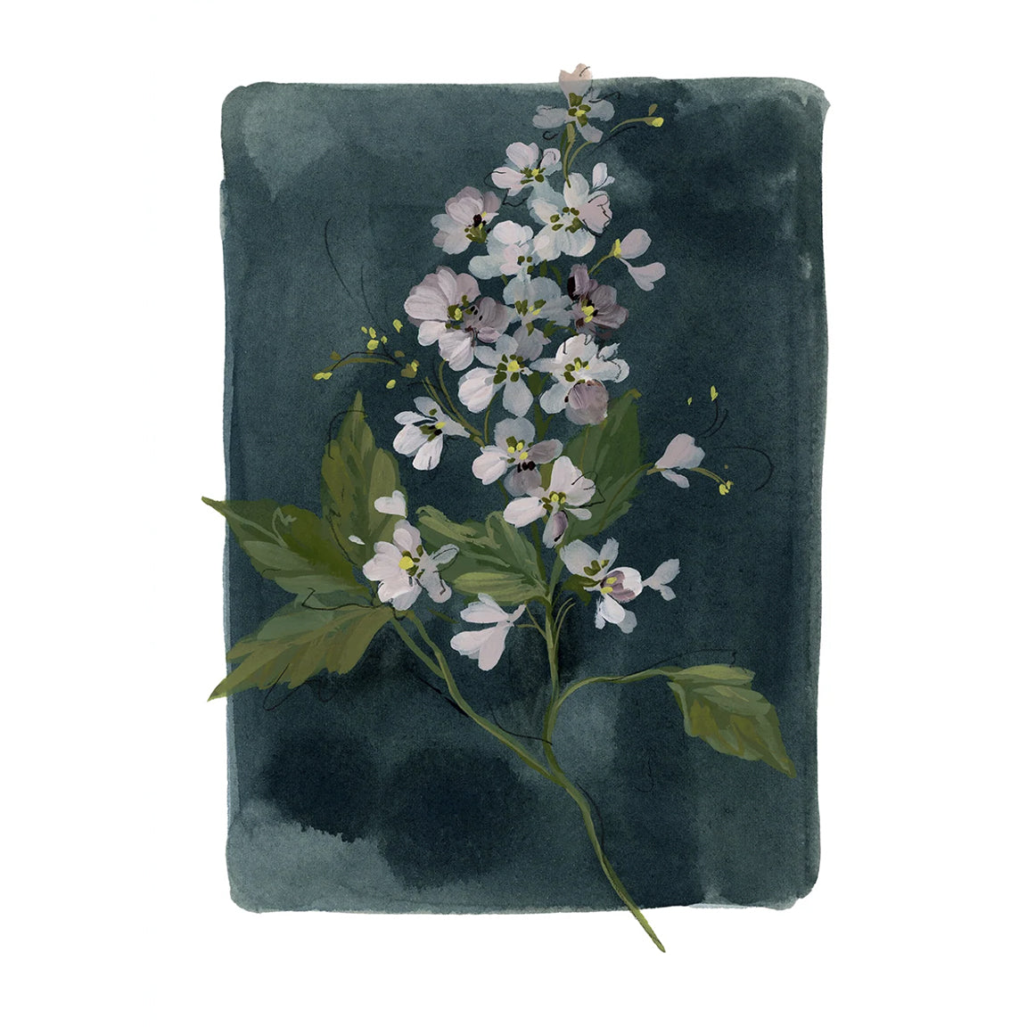 Floral fine art print featuring a reproduction of an original watercolor painting by Michigan artist Kelly Ventura.
