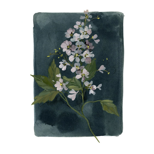 Floral fine art print featuring a reproduction of an original watercolor painting by Michigan artist Kelly Ventura.