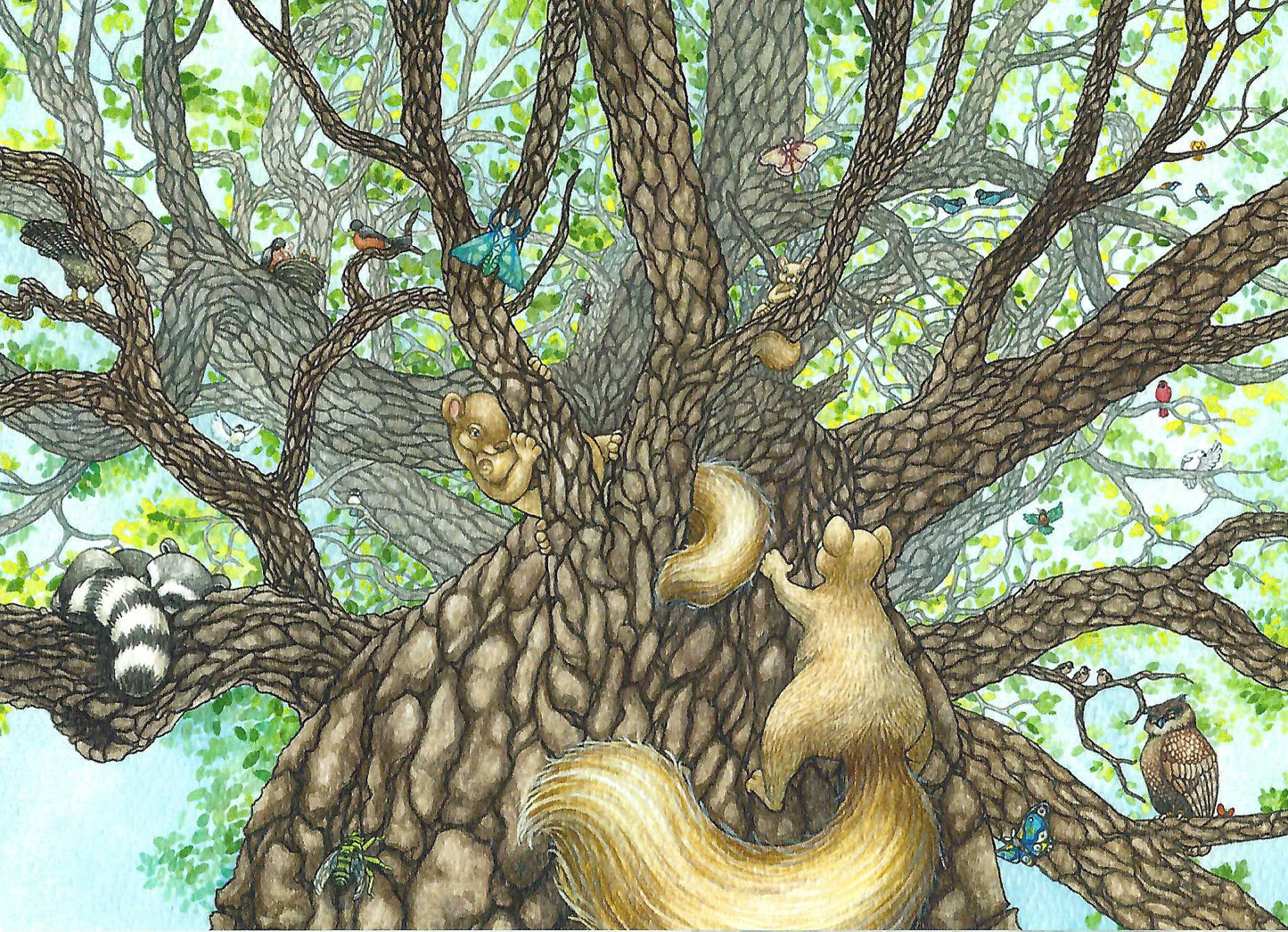 Animal Fortress.  A beautiful greeting card featuring a whimsical watercolor illustration by Jessica Waterstradt from the book, "The Acorn and the Oak."  