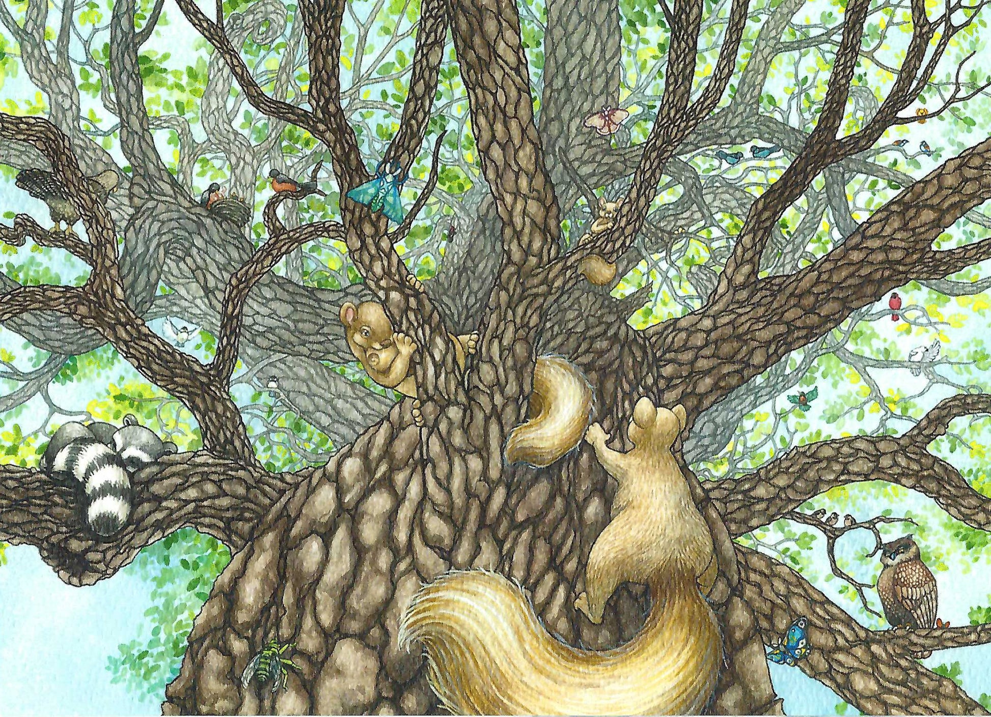 Animal Fortress.  A beautiful greeting card featuring a whimsical watercolor illustration by Jessica Waterstradt from the book, "The Acorn and the Oak."  