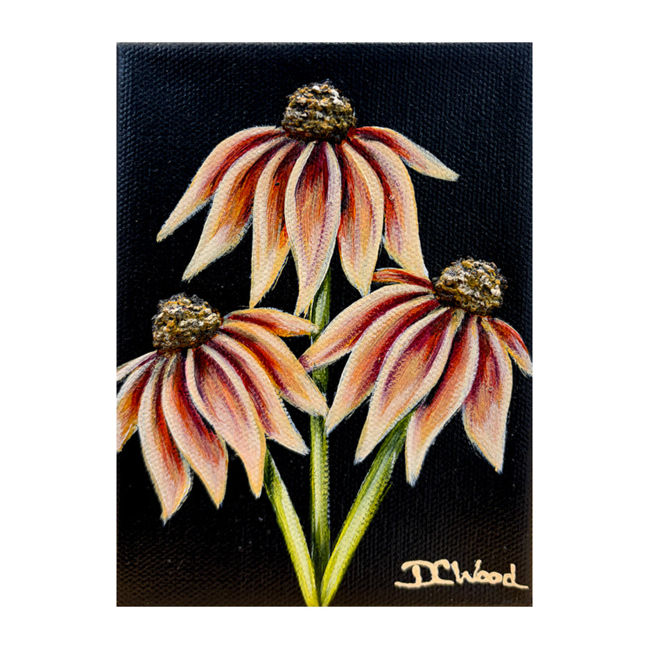 Contemporary floral painting inspired by black eyed Susans featured in the "Baby Blooms" collection by Michigan artist Denise Cassidy. Original, artist-signed, acrylic and mixed-media on gallery-wrapped canvas painting.