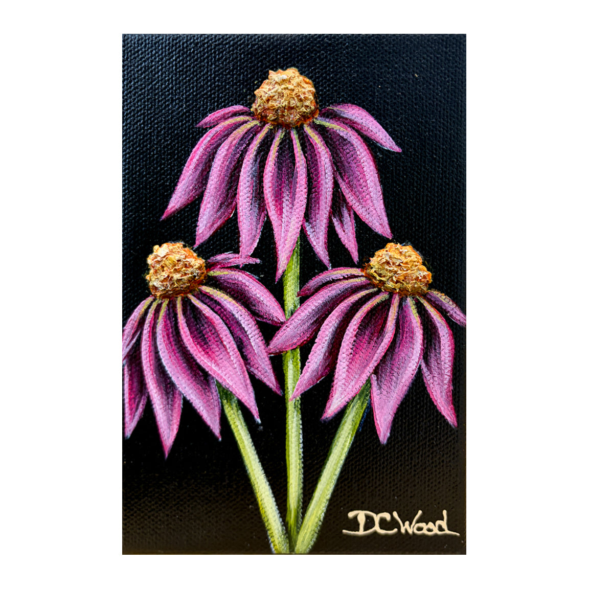 Contemporary floral painting inspired by echinacea featured in the "Baby Blooms" collection by Michigan artist Denise Cassidy. Original, artist-signed, acrylic and mixed-media on gallery-wrapped canvas painting.