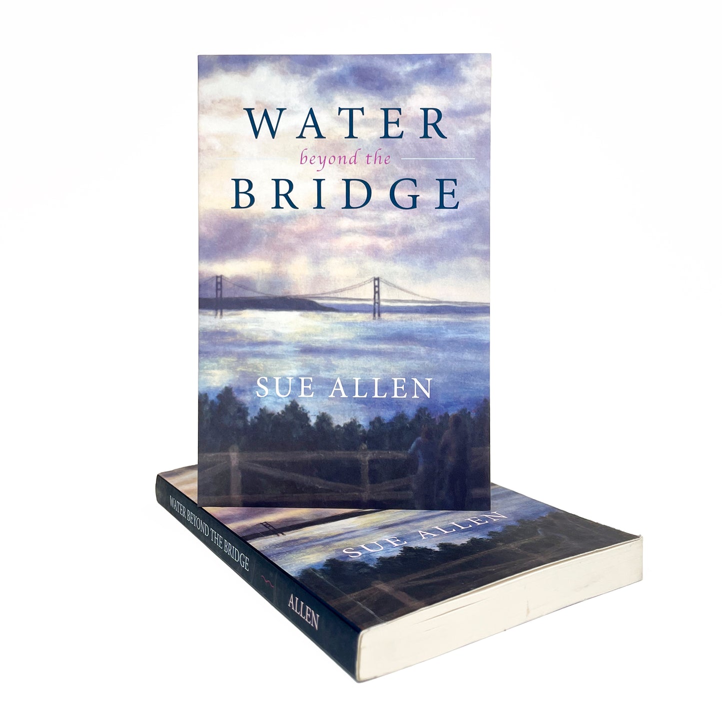 Water Beyond the Bridge Book