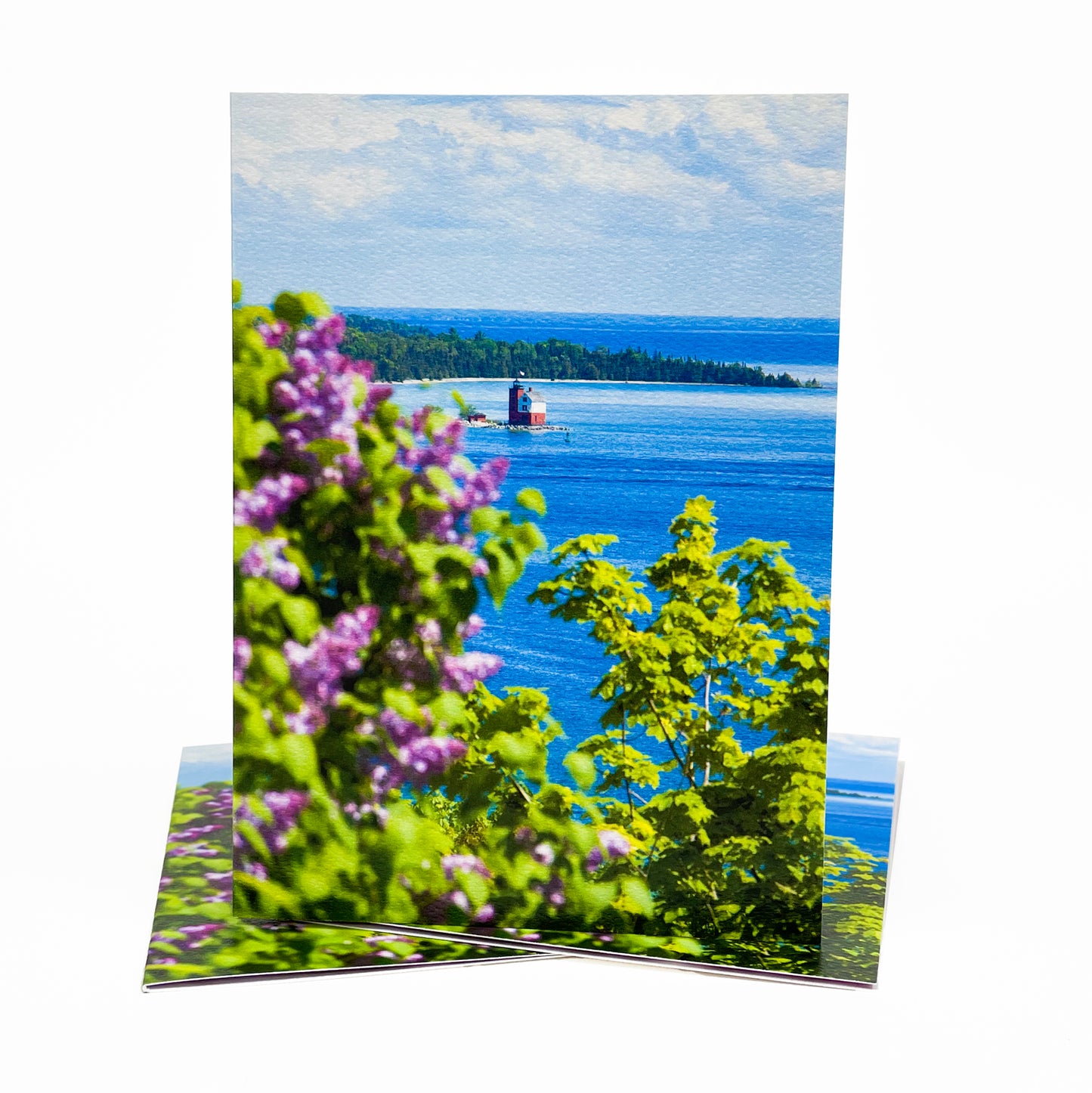 Lilac View of Round Island II Greeting Card