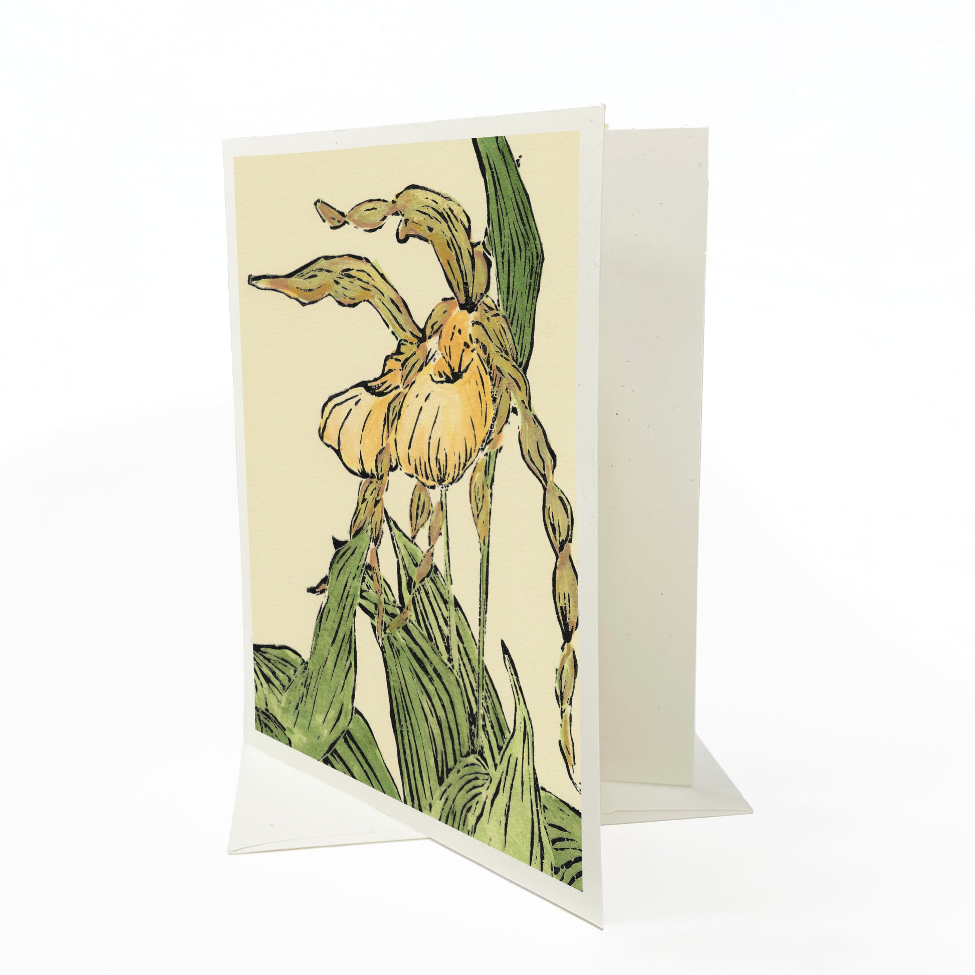 Lady Slipper Pair #2. A casually elegant botanical card featuring a digital reproduction of a block print design with the same title by Natalia Wohletz of Peninsula Prints, Milford and Mackinac Island, Michigan.