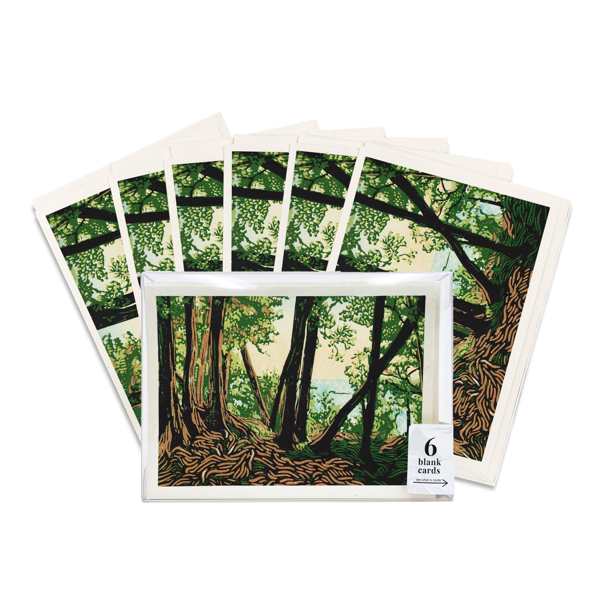 A boxed set of six casually elegant cards featuring Mackinac Island art by Natalia Wohletz of Peninsula Prints titled Trail Lookout.