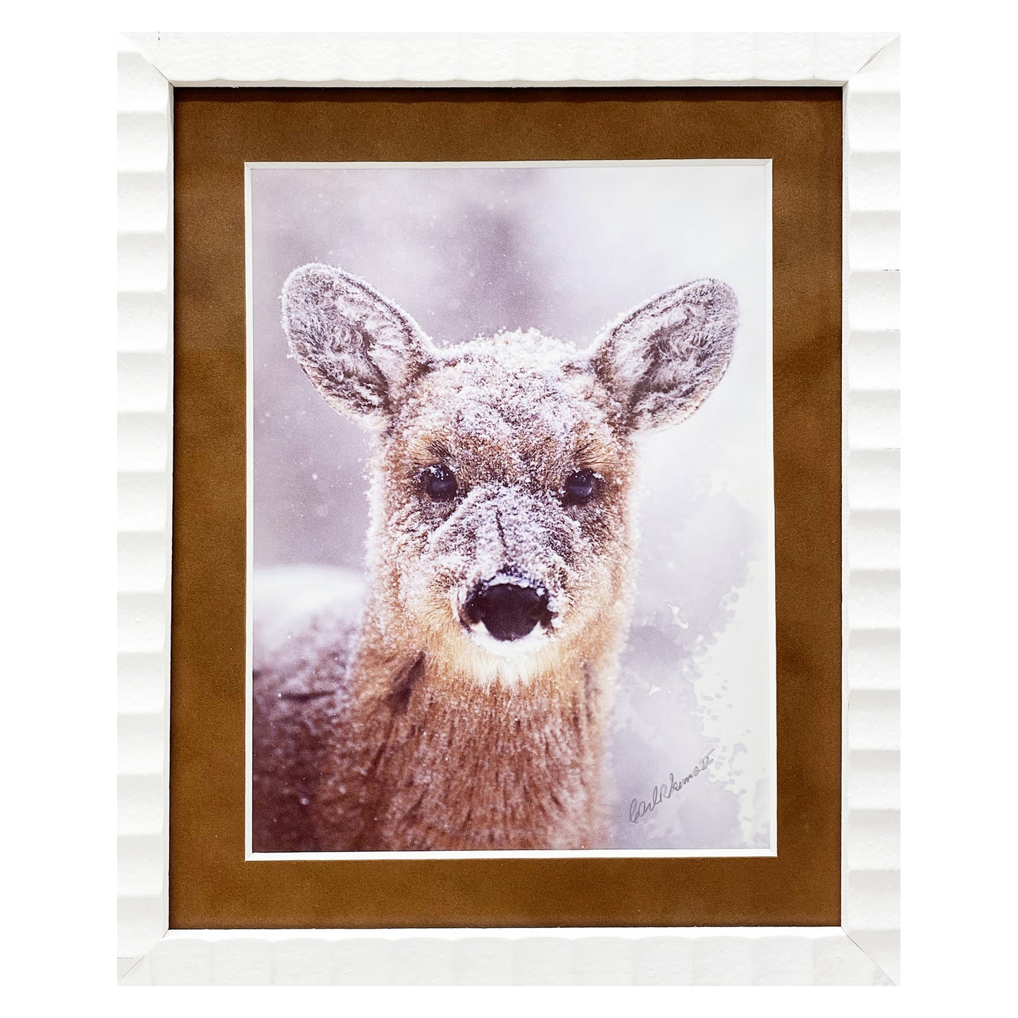 Snow Deer Framed Photograph by Carl Sams.