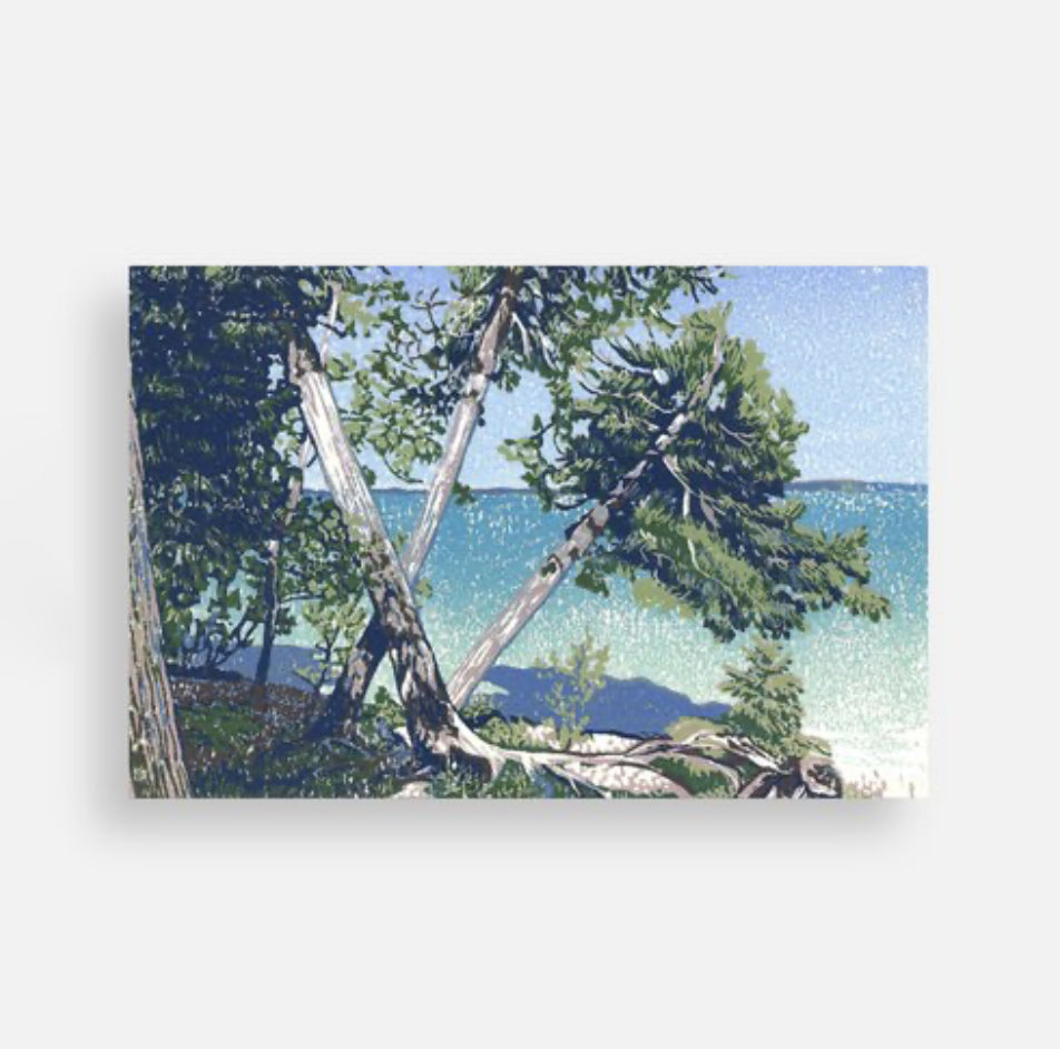 Cedar Beach Postcard