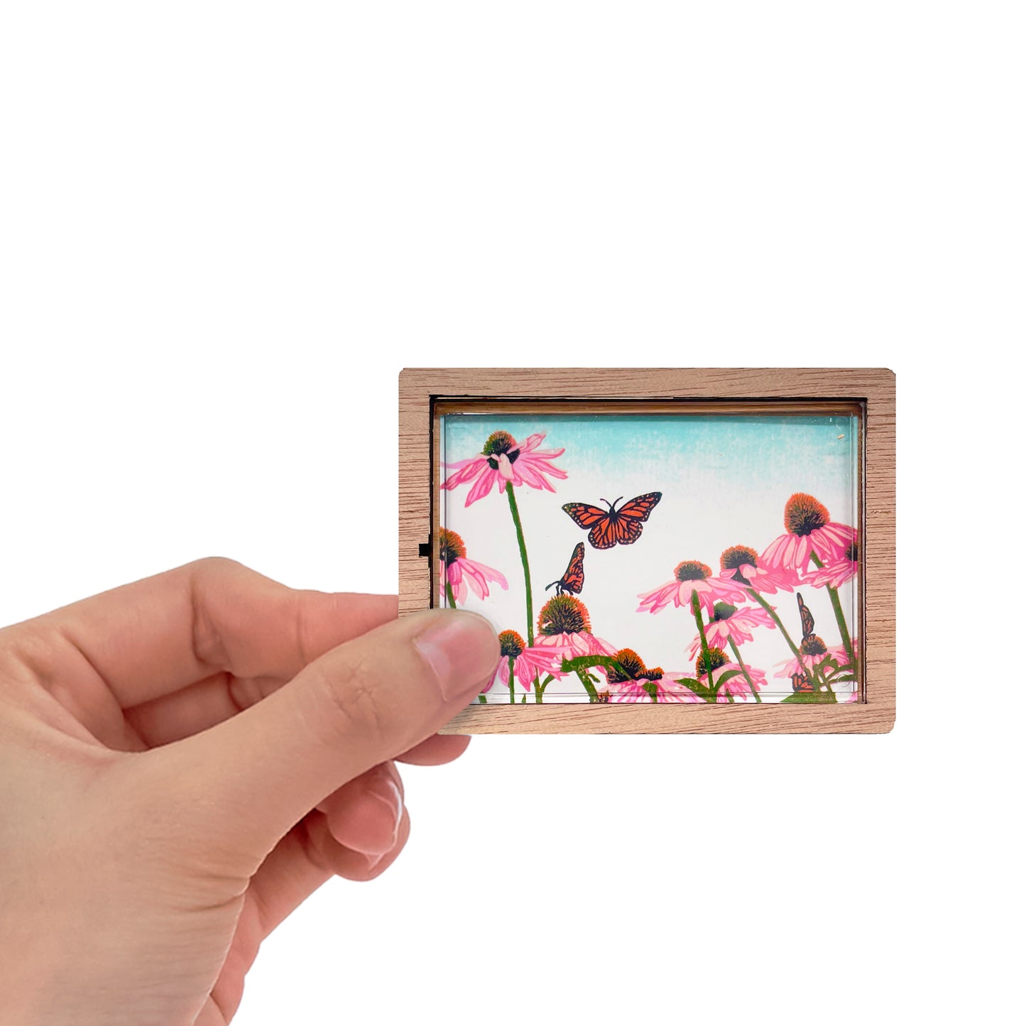 Coneflower Patch Magnet