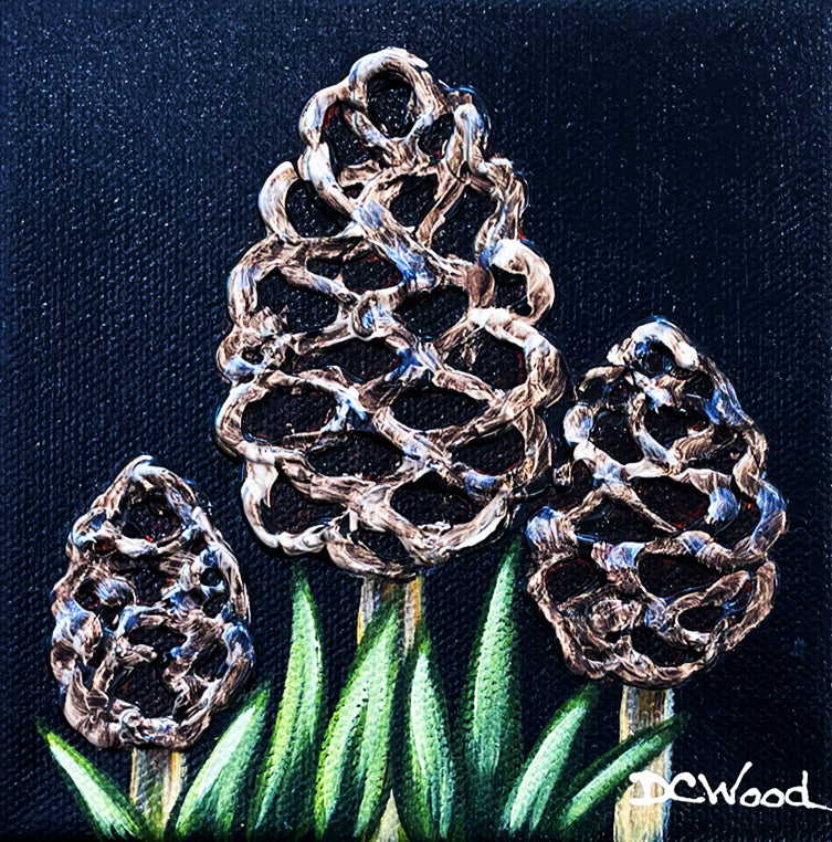 Morel Mushroom series of contemporary floral paintings by Denise Cassidy Wood of Northville, Mich.