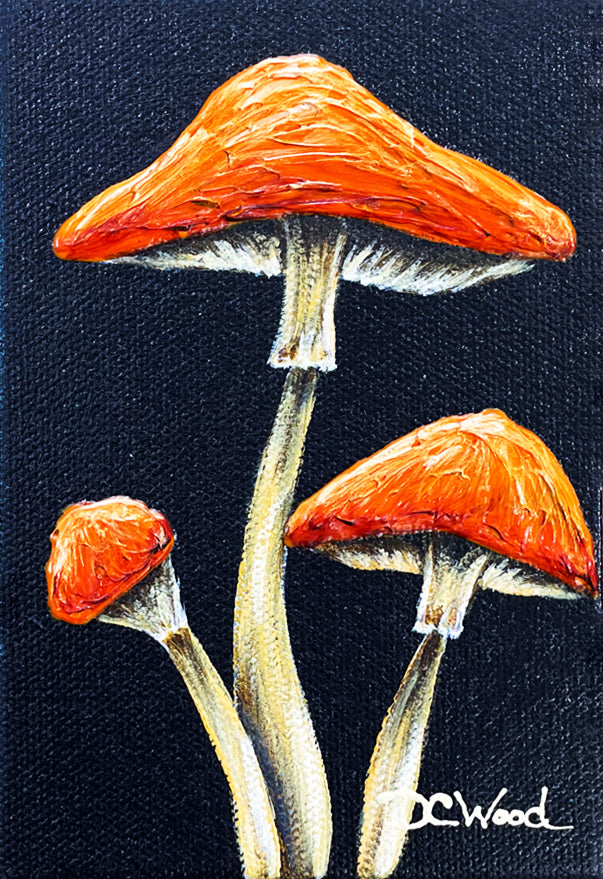 Mushroom series of contemporary floral paintings by Denise Cassidy Wood of Northville, Mich.