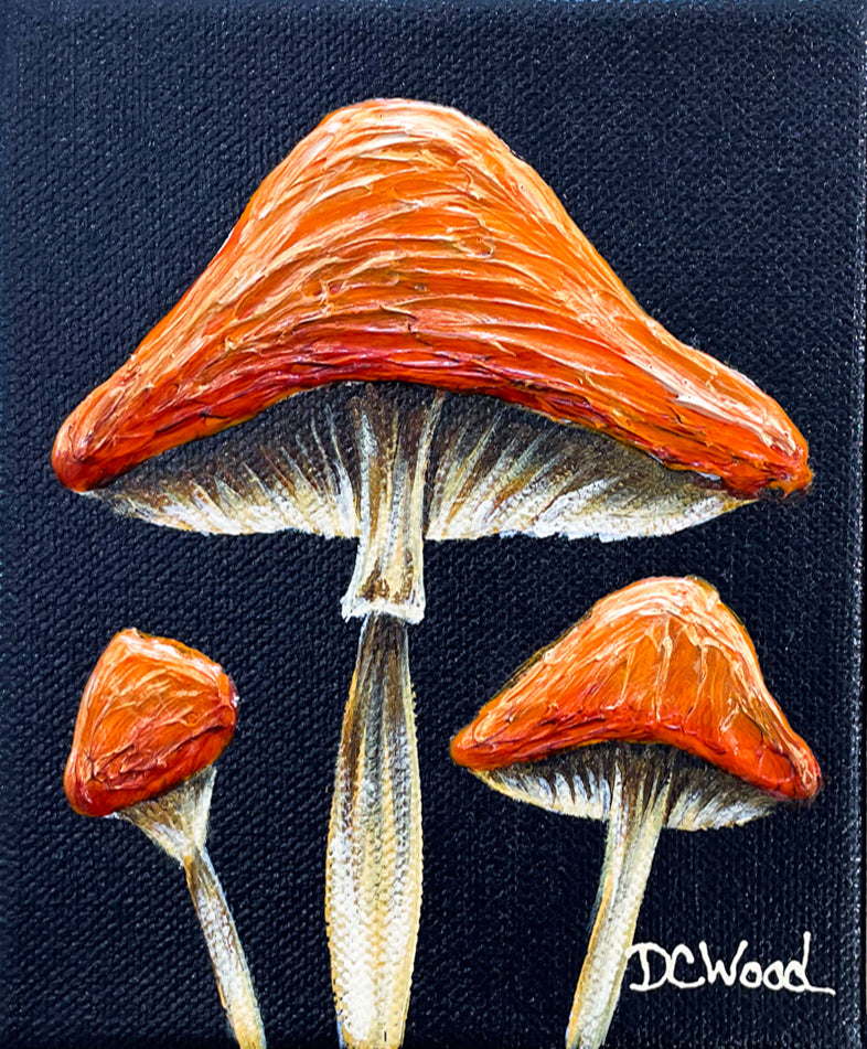 Mushroom series of contemporary floral paintings by Denise Cassidy Wood of Northville, Mich.