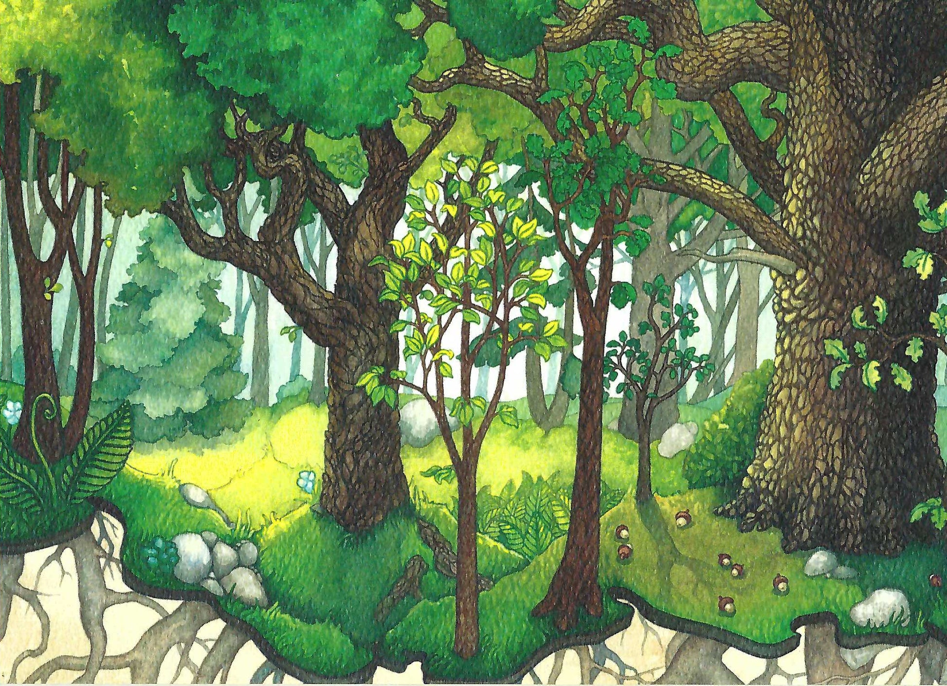 Family Roots Greeting Card.  A whimsical watercolor illustration by Jessica Waterstradt from the book, "The Acorn and the Oak."