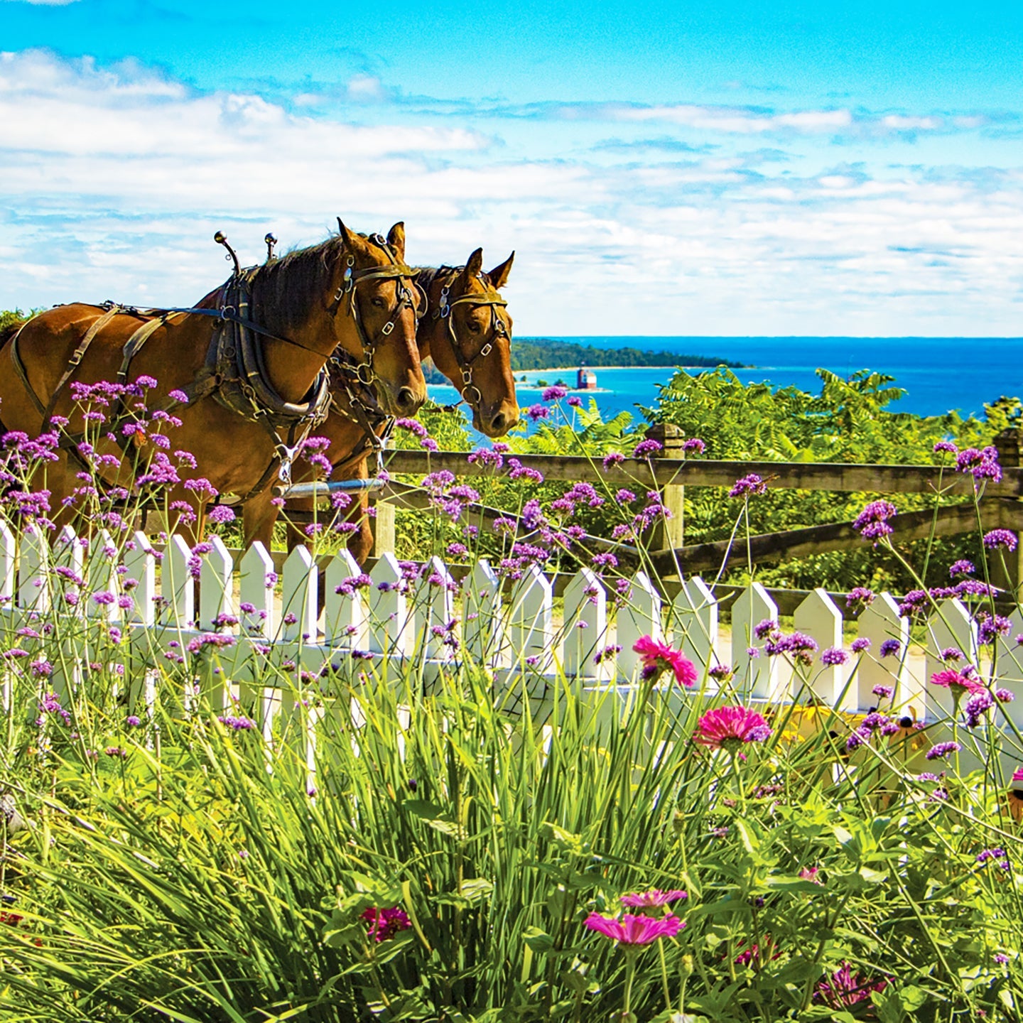 Mackinac Garden View Photograph by Jennifer Wohletz of Mackinac Memories.